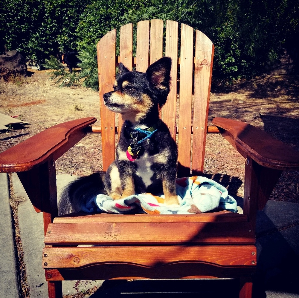 Meet your Posher, Kanani